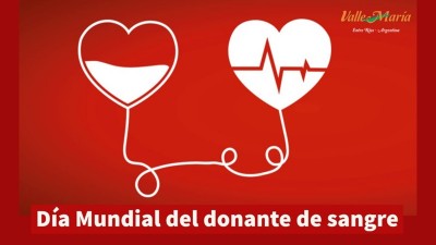 La donación voluntaria de sangre: un desafío a la solidaridad