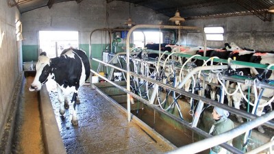 Lanzan créditos a valor producto por hasta 700.000 pesos para tamberos