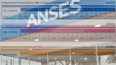 Anses anunció el cronograma de pago de las prestaciones del mes de julio