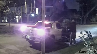 Se baja de una camioneta de alta gama y roba una planta