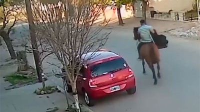 Ladrón escapó a caballo tras romper el vidrio de un auto y robar sillita