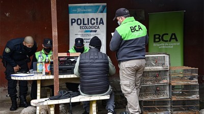 Tras allanamiento, rescataron casi 140 aves autóctonas que estaban en cautiverio