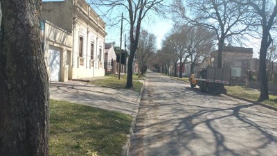 Aclaración sobre la  poda  de árboles en Aldea Protestante 