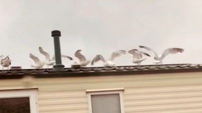 Los vecinos pusieron música fuerte, ella no pudo dormir y su venganza fue despiadada