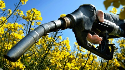 Aumentan precios del biodiesel y bioetanol, usados para fabricar combustibles