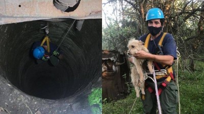 Bomberos rescataron a un perro atrapado a 25 metros de profundidad