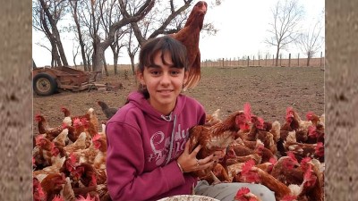 Empezó a criar gallinas en la pandemia: ya tiene 800 y vende huevos en su pueblo