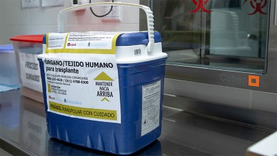 Realizaron más de 1.000 trasplantes de órganos en lo que va del año en el país