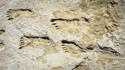 Huellas de 23.000 años reescriben la historia humana de América del Norte