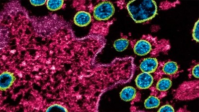 ¿Qué tiene que ver el tipo de sangre en la evolución grave del coronavirus?