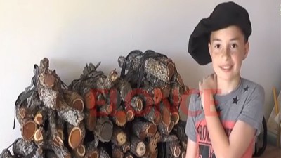 Pequeño emprendedor: niño entrerriano vende leña para comprarse una bicicleta