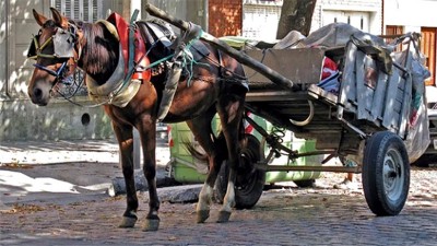 Dos familias se enfrentaron con armas de fuego por la compra de un carro
