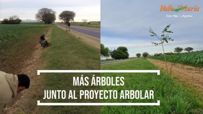Más árboles junto al Proyecto Arbolar