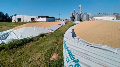 Investigan la destrucción de dos silobolsas en una cooperativa entrerriana