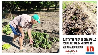 El INTA y el Área de Desarrollo Social recorren huertas en nuestra localidad