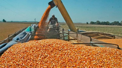 Inesperada previsión hizo saltar el precio de la soja y beneficiaría a Argentina