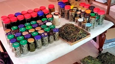 Ordenaron devolver a un padre y su hija el cannabis que cultivaban para su salud