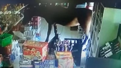 Video: un caballo se animó a entrar en un kiosco para comer mercadería