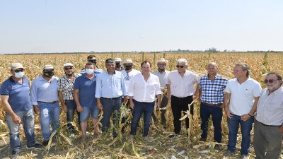 Declaran la emergencia agropecuaria en Entre Ríos