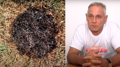 ¿Otra experiencia ovni?: Una extraña luz lo persigue y deja huellas en el pasto