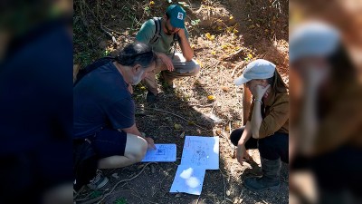 Sendero en el Islote Curupí: hicieron un relevamiento de la flora del lugar