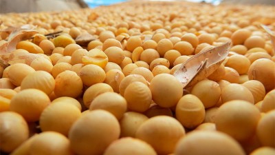 El precio de los granos sigue en alza y la soja alcanzó nuevo récord desde 2012