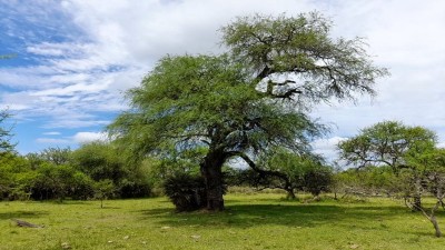 Entre Ríos trabaja en la preservación de sus ecosistemas
