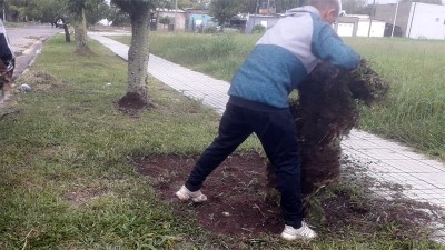 Los descubrieron robando panes de césped de un espacio público y los denunciaron