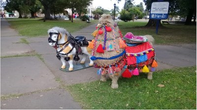 Santa Fe: denunciaron maltrato animal, pero eran juguetes