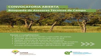 Bosque Nativo: Convocan a profesionales para integrar un equipo técnico