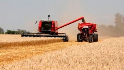 Fuerte suba del trigo, impulsada por el cierre de las exportaciones en India