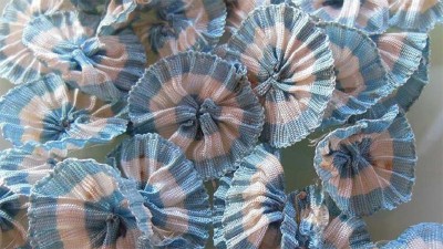 Por qué se celebra hoy el Día de la Escarapela