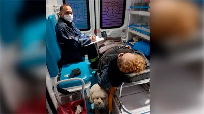 Conmovedora foto: una perra acompañó en ambulancia a su dueña que sufrió un ACV