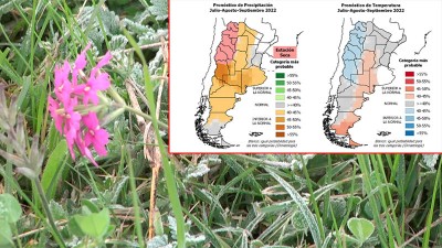 Entre Ríos en gris: la previsión climática para julio, agosto y septiembre