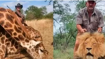 Mataron a un cazador que asesinó a cientos de animales salvajes