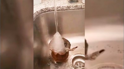 Video: Quiso lavar el mate pero el agua se congelaba al salir de la canilla