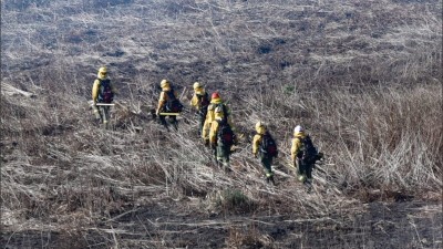 Nación registró en lo que va de julio, 237 focos de incendio en las islas