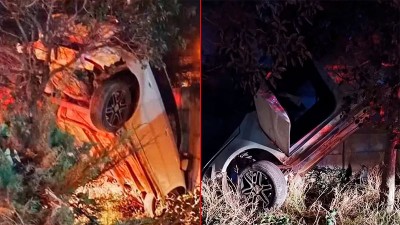 Manejaba alcoholizado, derribó un cartel y el auto quedó colgado de un árbol