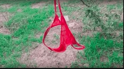 La Tangacienta: se olvidó la bombacha en una plaza e iniciaron una campaña para encontrarla