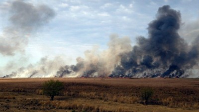 Organizaciones piden declarar zona de desastre natural al Delta del Paraná
