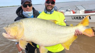 Pescaron un enorme dorado en el río Paraná: pesó cerca de 25 kilos
