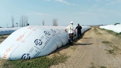 Incautan 2656 toneladas de granos en aceitera y plantas de alimento balanceado