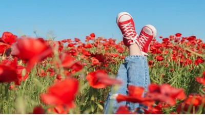 Día de la primavera, ¿cuándo llega el equinoccio?