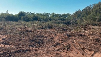 Denuncian destrucción de monte nativo con topadoras en las islas del Paraná
