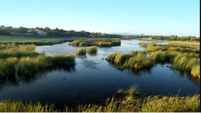 Ley de Humedales: tras 6 semanas de pausa, diputados vuelven a tratarla en comisión