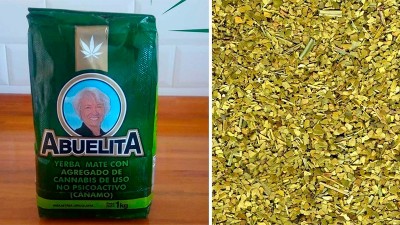 Quieren vender en Argentina la primera yerba con cannabis: qué propiedades tiene