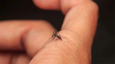 Investigan una posible muerte por dengue en la ciudad de Córdoba