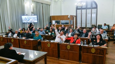 Media sanción para la creación de más de 50 mil horas cátedra para Educación