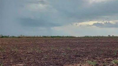 Anticipan evento de lluvias que puede cambiar el escenario de siembra de trigo
