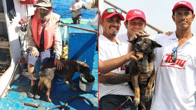 Náufrago que estuvo 3 meses a la deriva dio en adopción a su perra y compañera